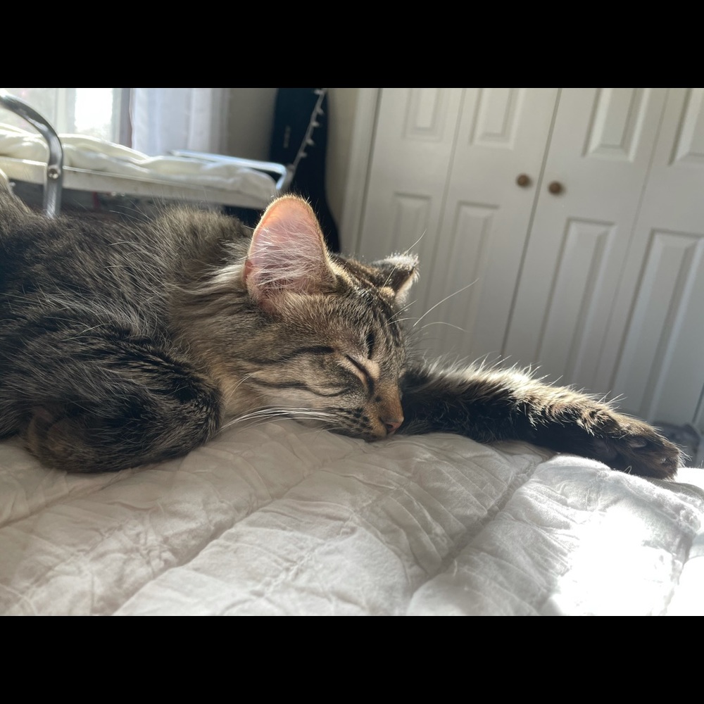 Meet your Posher, Zoe